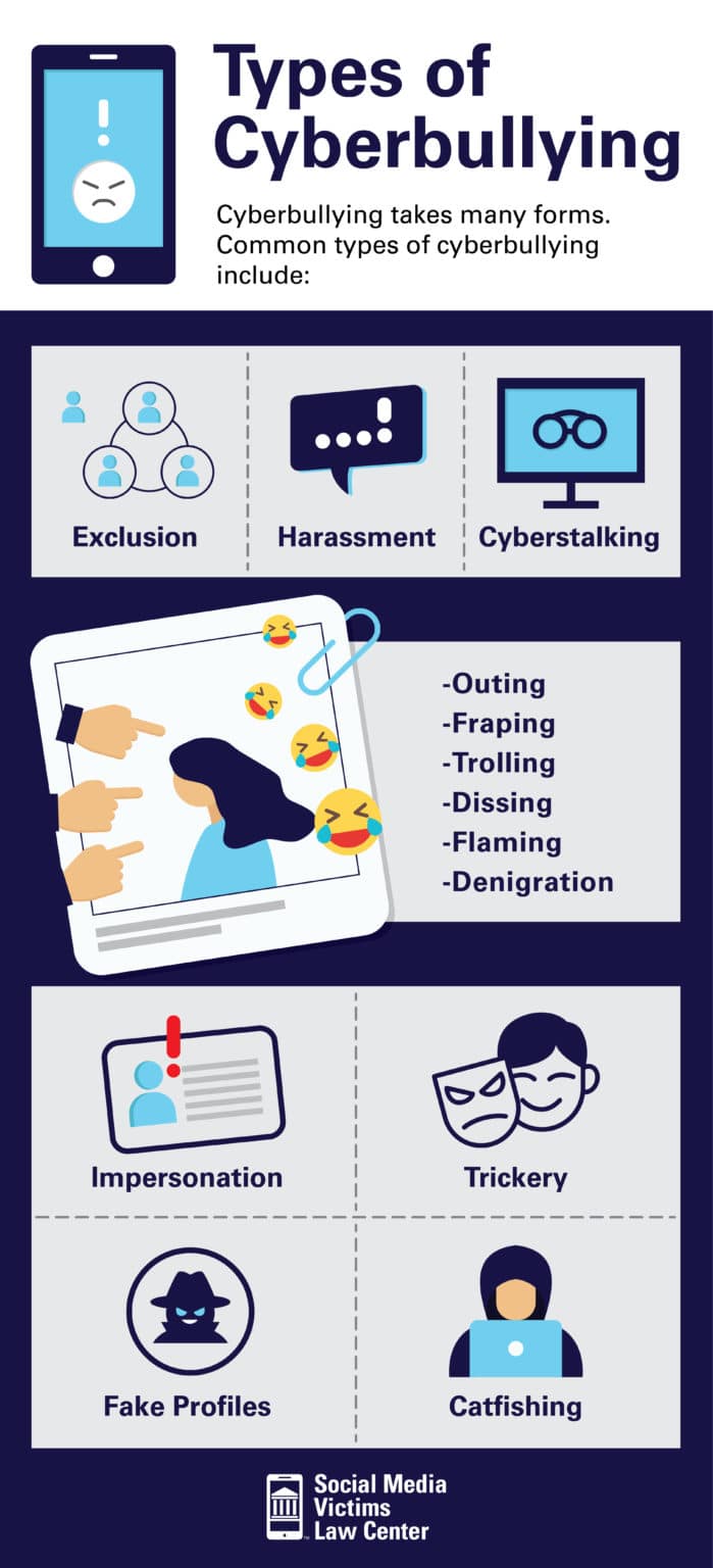 Types of Cyberbullying Infographic