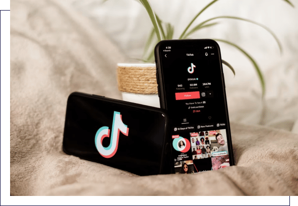 Two smartphones with TikTok app open with a plant in the background