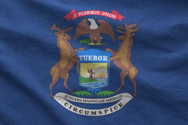 Michigan state flag